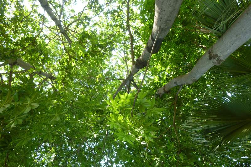 India & Nepal 2011 - 1281